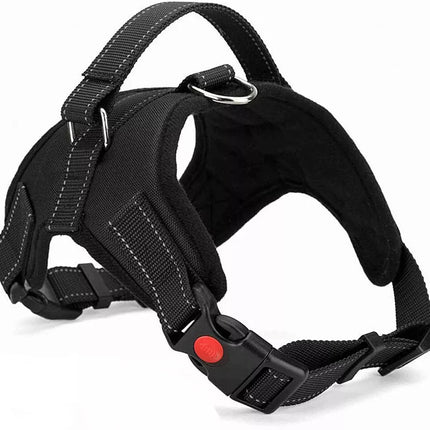 Easywalk Harness