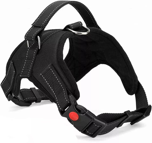 Easywalk Harness