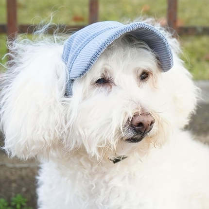 Corduroy Cap - Blue