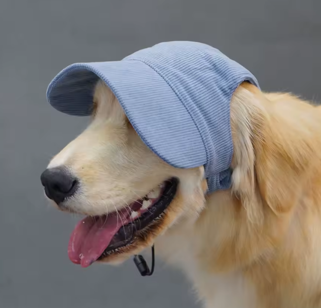 Corduroy Cap - Blue