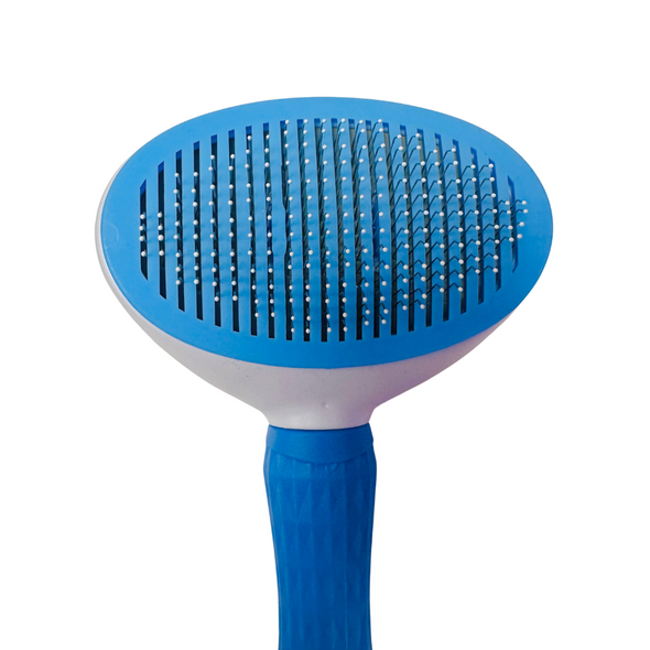 Dog Brush in Pink or Blue