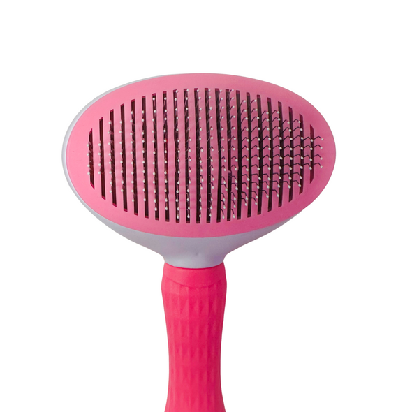 Dog Brush in Pink or Blue