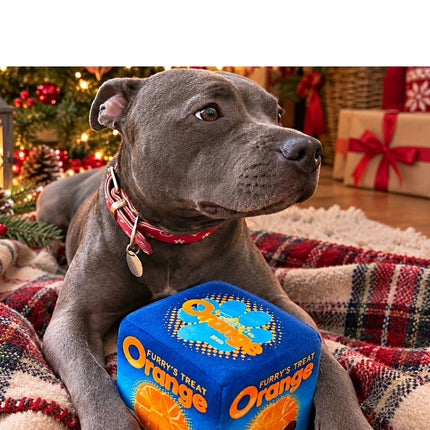 Furry's Treat Orange Dog Toy