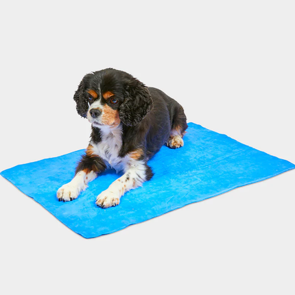 Pet Cooling Towel 66cm x 43cm