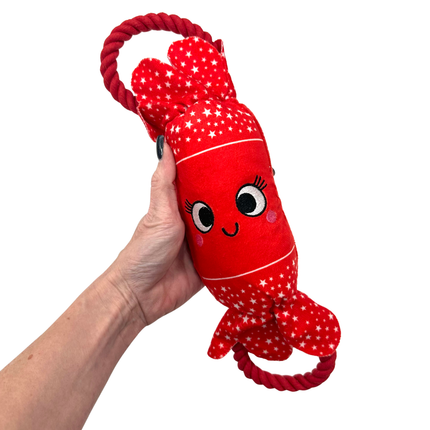 Christmas Cracker Toys