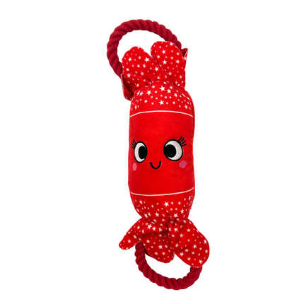 Christmas Cracker Toys