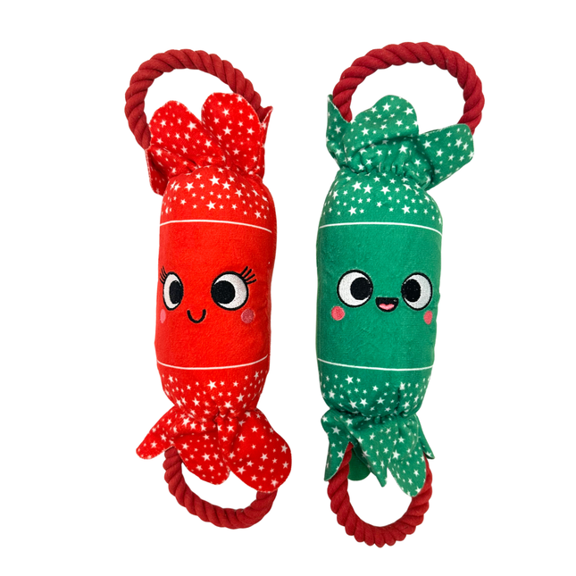 Christmas Cracker Toys