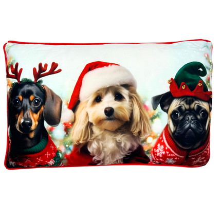 Christmas Scatter Cushion