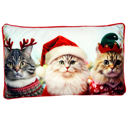 Christmas Scatter Cushion