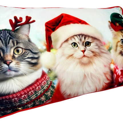 Christmas Scatter Cushion