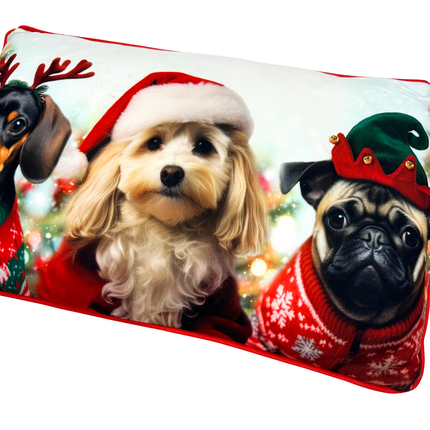 Christmas Scatter Cushion