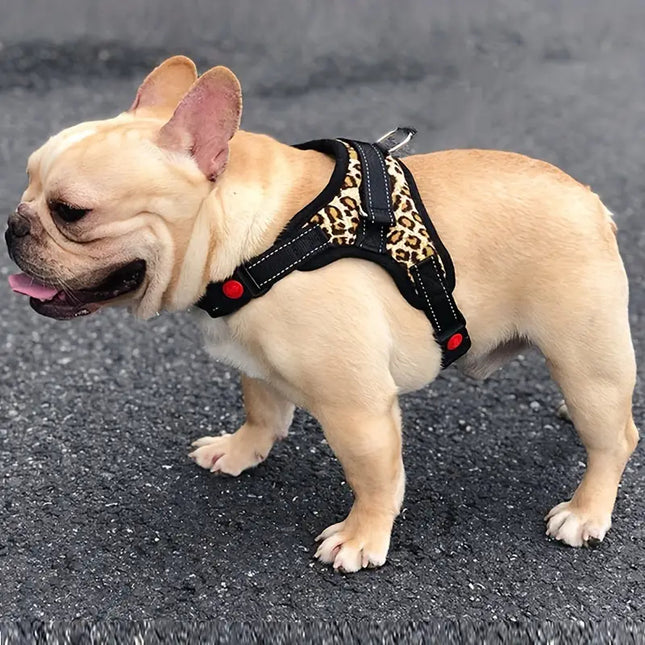 Easywalk Harness