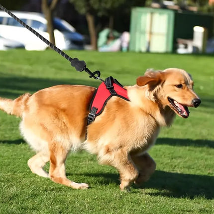 Easywalk Harness