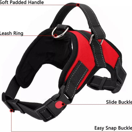 Easywalk Harness