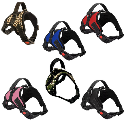 Easywalk Harness