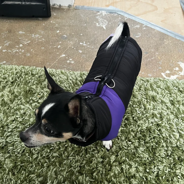 Waterproof Winter Coat Purple