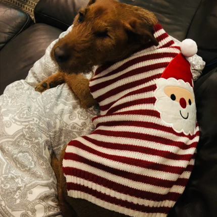 Santa Red and White Jumper