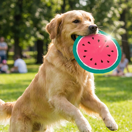 Fruit Flyer Frisbee Toy