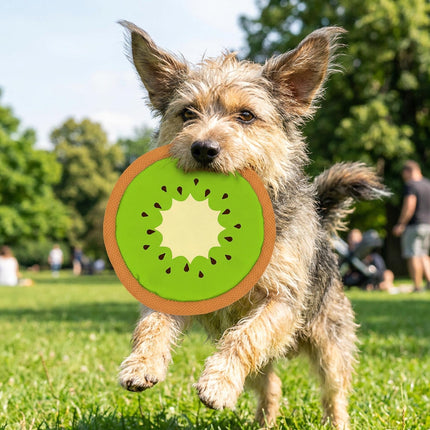 Fruit Flyer Frisbee Toy
