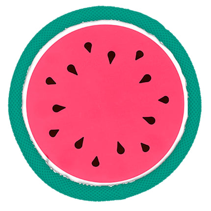 Fruit Flyer Frisbee Toy