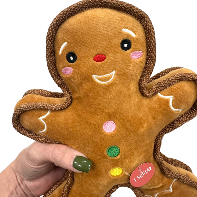 Strong Gingerbread Man Plush Dog Toy