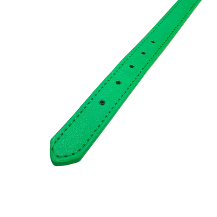 Adjustable PU Collar - Green