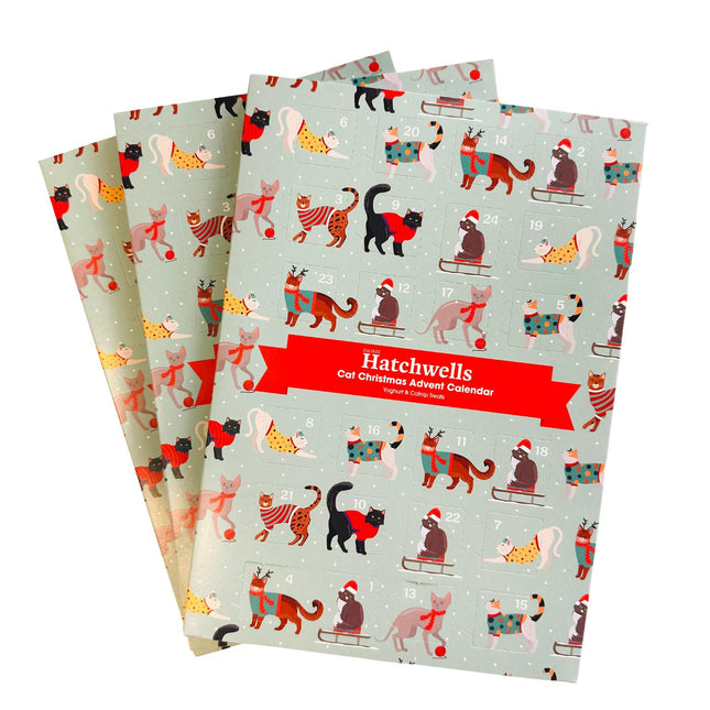 Hatchwells Cat Advent Calendar - 70g - Yoghurt & Catnip Flavoured Treats