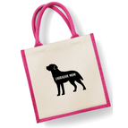 Pink / Labrador