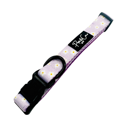 Lilac Blooms Collar