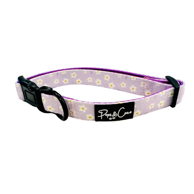 Lilac Blooms Collar