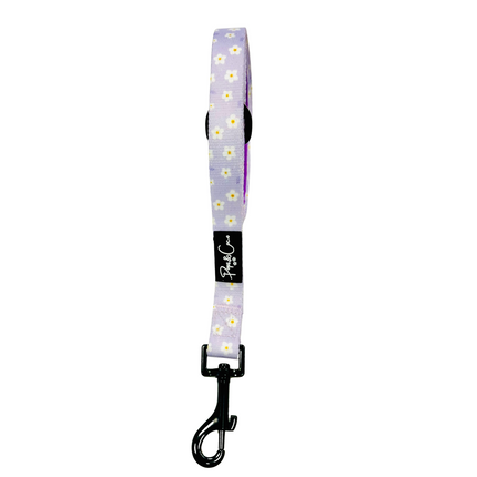 Lilac Blooms Lead