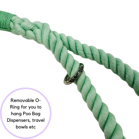 Rope Lead - Mint Green