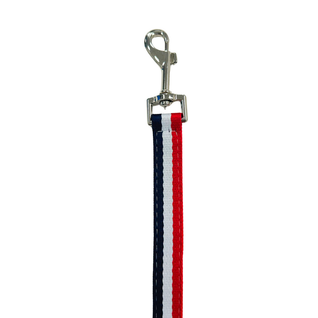 Nautical Stripe Lead