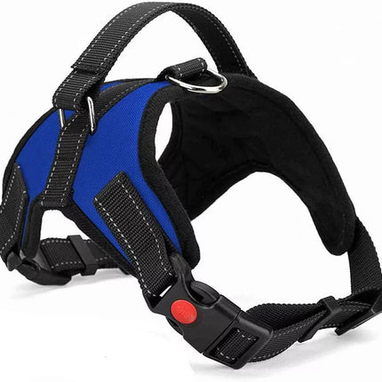 Easywalk Harness