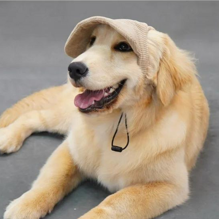 Corduroy Cap - Oatmeal