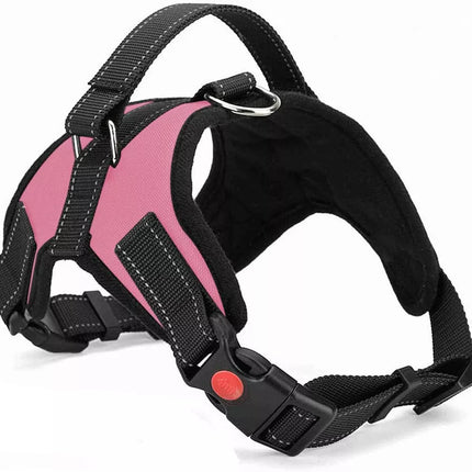 Easywalk Harness