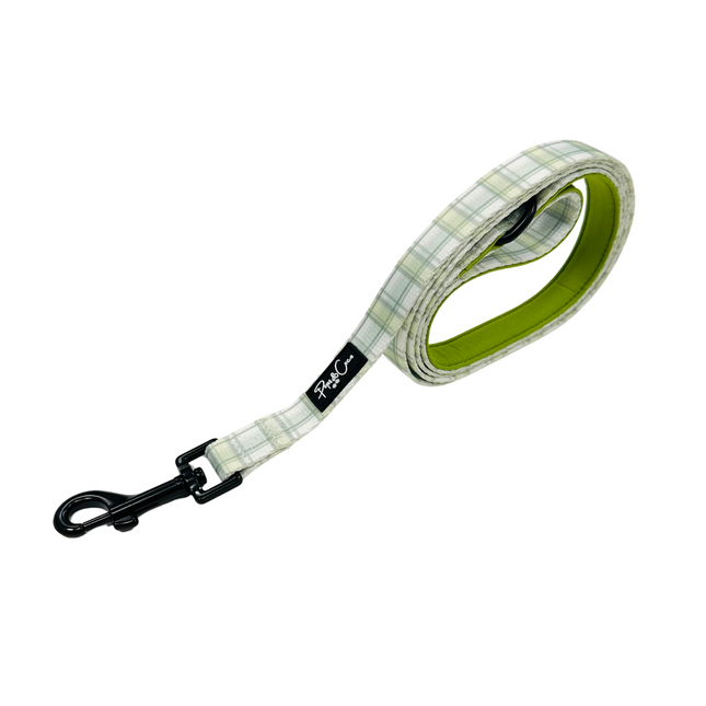 Pistachio Plaid Lead