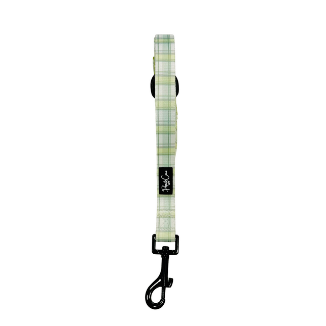 Pistachio Plaid Lead