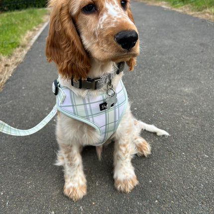 Pistachio Plaid Fully Adjustable Harness