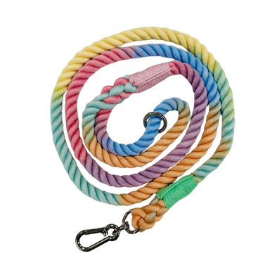 Rope Lead - Rainbow