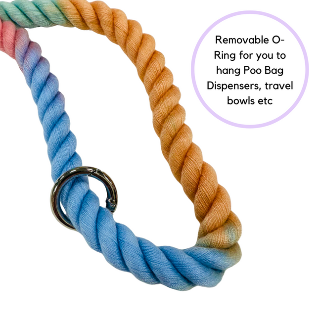 Rope Lead - Rainbow