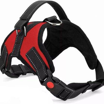 Easywalk Harness