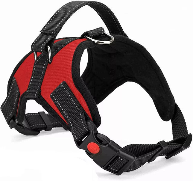 Easywalk Harness