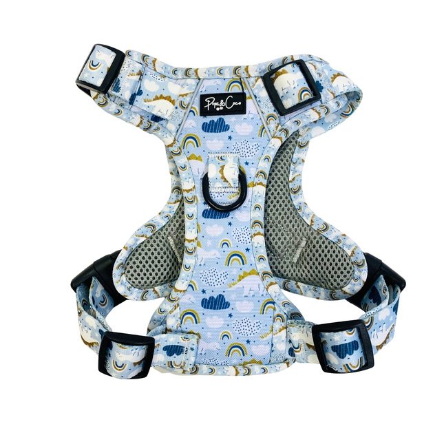 Roarsome Rainbows Go Explore Harness