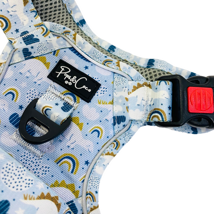 Roarsome Rainbows Go Explore Harness