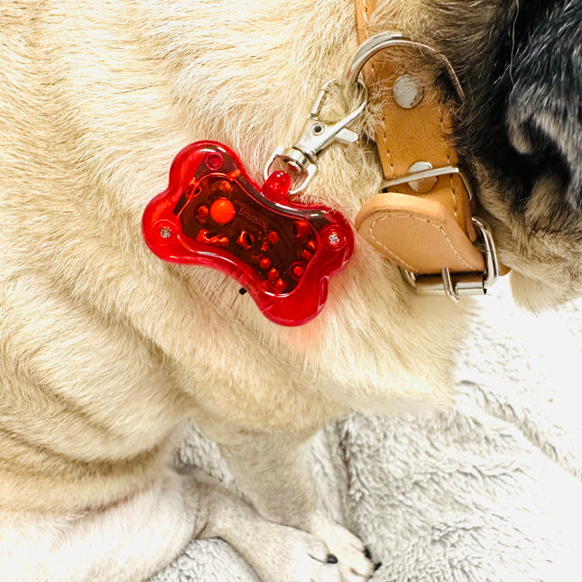 Hi Visibility LED Pet Safety Flasher Light