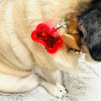 Hi Visibility LED Pet Safety Flasher Light