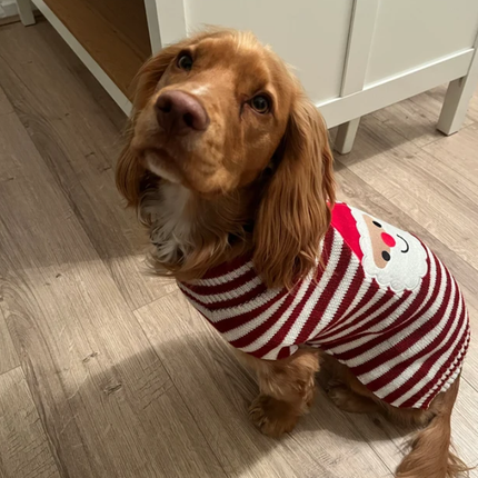 Santa Red and White Jumper