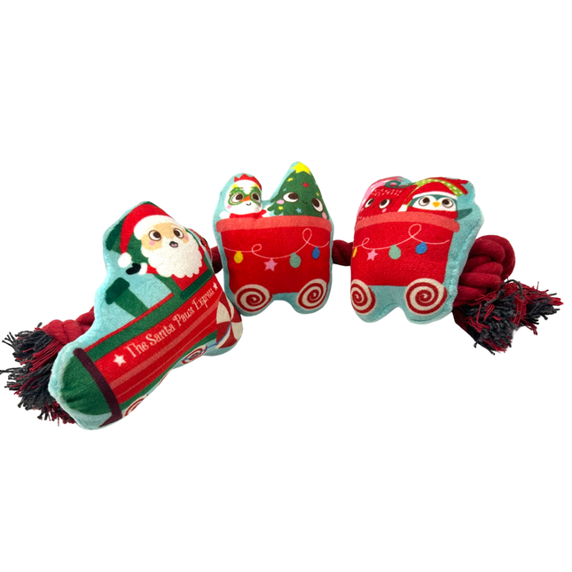 Santa Sleigh Rope Toy