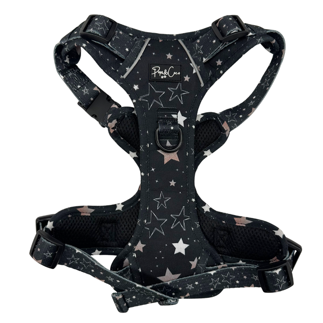Starry Skies Go Explore Harness